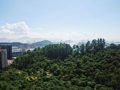 -小南山公园