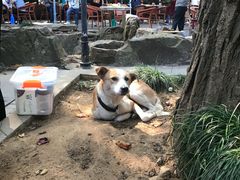 -兴福老面馆(寺路街店)