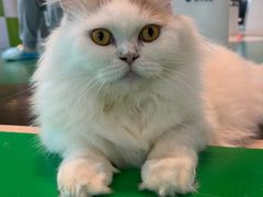 -茂业百货(东门店)