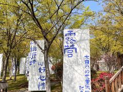 -茅山东方盐湖城景区