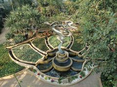 -南山植物园