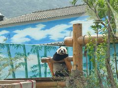 -无锡动物园·太湖欢乐园