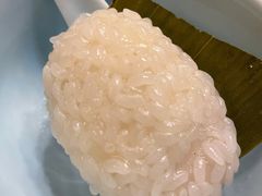 茨毛圆子-双塔老饭店