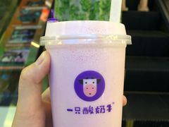 -一只酸奶牛(时代天街A馆店)