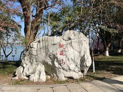-金鸡湖桃花岛