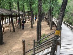 -蟠龙山长城景区