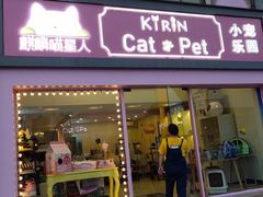 -70cat德文卷毛猫·缅因猫纯种猫舍