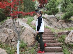 -石老人观光园