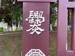 -彩色沙林风景区