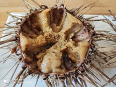 -海胆小馆(东北水饺·春柳店)