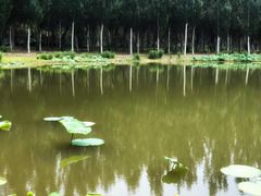 -东郊湿地公园