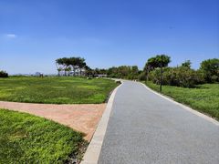 -东堤公园