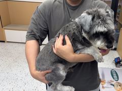 -瑞派康怡24h宠物医院·犬猫医疗中心·微创绝育(瑞景分院)