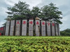 -大屏嶂森林公园