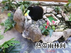 -赛格国际购物中心(小寨店)
