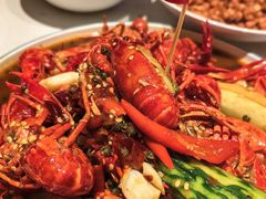-杨氏青龙虾·羊蝎子(托乐嘉店)
