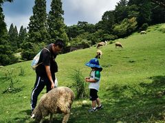 -神户市立六甲山牧场