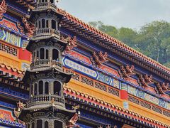 -东莞市大岭山森林公园