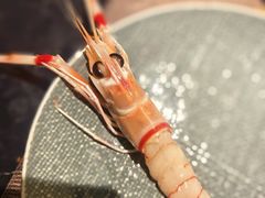 -大葉日本料理·龍蝦任食放題(廣州W酒店)
