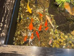 -隐炉和牛烧肉店(群力店)