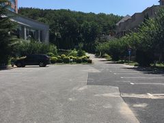 -金沙滩度假村