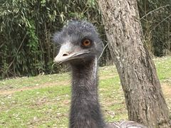 -杭州野生动物世界