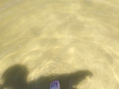 -呼兰河口湿地公园