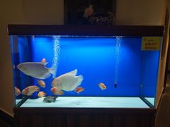 -宁海食府(大剧院店)