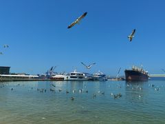 -海驴岛(荣成市)