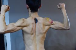 背部-刺客纹画纹身·洗纹身·穿孔饰品