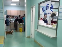 -北京观赏动物医院·24小时大型综合·猫专科·异宠专科