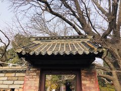 -浮来山风景区