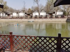 -尚庄度假村·庭台树下·户外烧烤·团建CS·轰趴营地(上庄水库店)