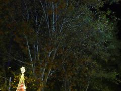 -Tiffany & Co.蒂芙尼
(南京德基广场店)