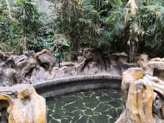 -龙达温泉生态城