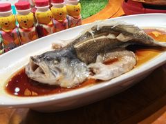 -老阿妈蒙古村·蒙古包·草原文化·歌舞表演(老君堂店)
