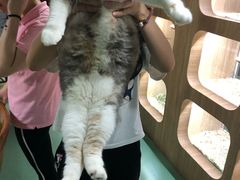 -藦茜花园宠物主题亲子互动体验馆(国顺东路店)