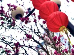 -洲头咀公园