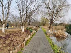 -长田漾湿地公园