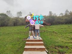 -关山草原