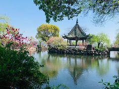 -无锡蠡湖国家湿地公园-蠡园
