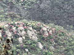 -木兰云雾山