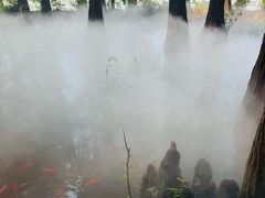-东湖落雁景区