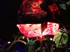 -醉小酒馆·川菜·江湖菜·重庆菜(观音桥旗舰店)