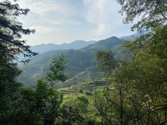 -杨家堂村