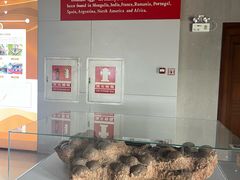 -中国西峡恐龙遗迹园