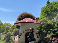 -上海鲜花港