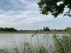 -梁鸿国家湿地公园