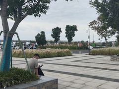 -漩门湾国家湿地公园