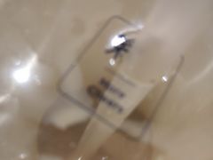 -茉沏(相城天虹店)